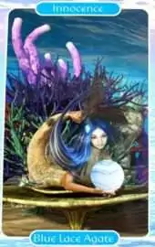 card-71