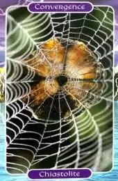 card-7