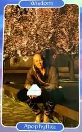 card-26