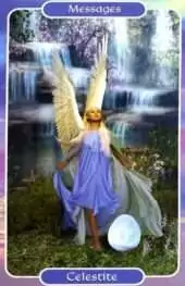 card-61