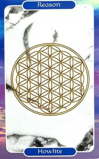 card-4