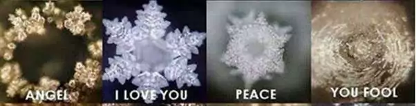 water crystals and there influence on the human body by Masaru Emoto