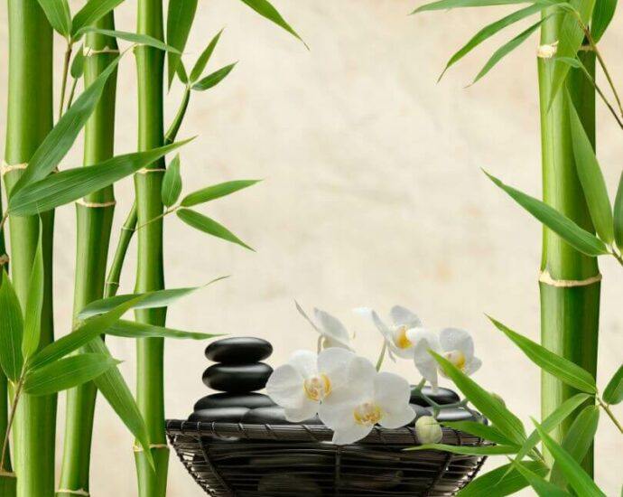 Home haven: Feng Shui secrets revealed. Boost energy & happiness. Free guide inside!