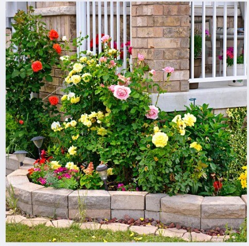 Garden Feng Shui Tips what you have to watch out for ,